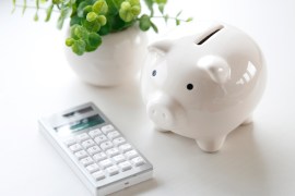 A Comprehensive Guide to Checking vs. Savings Accounts
